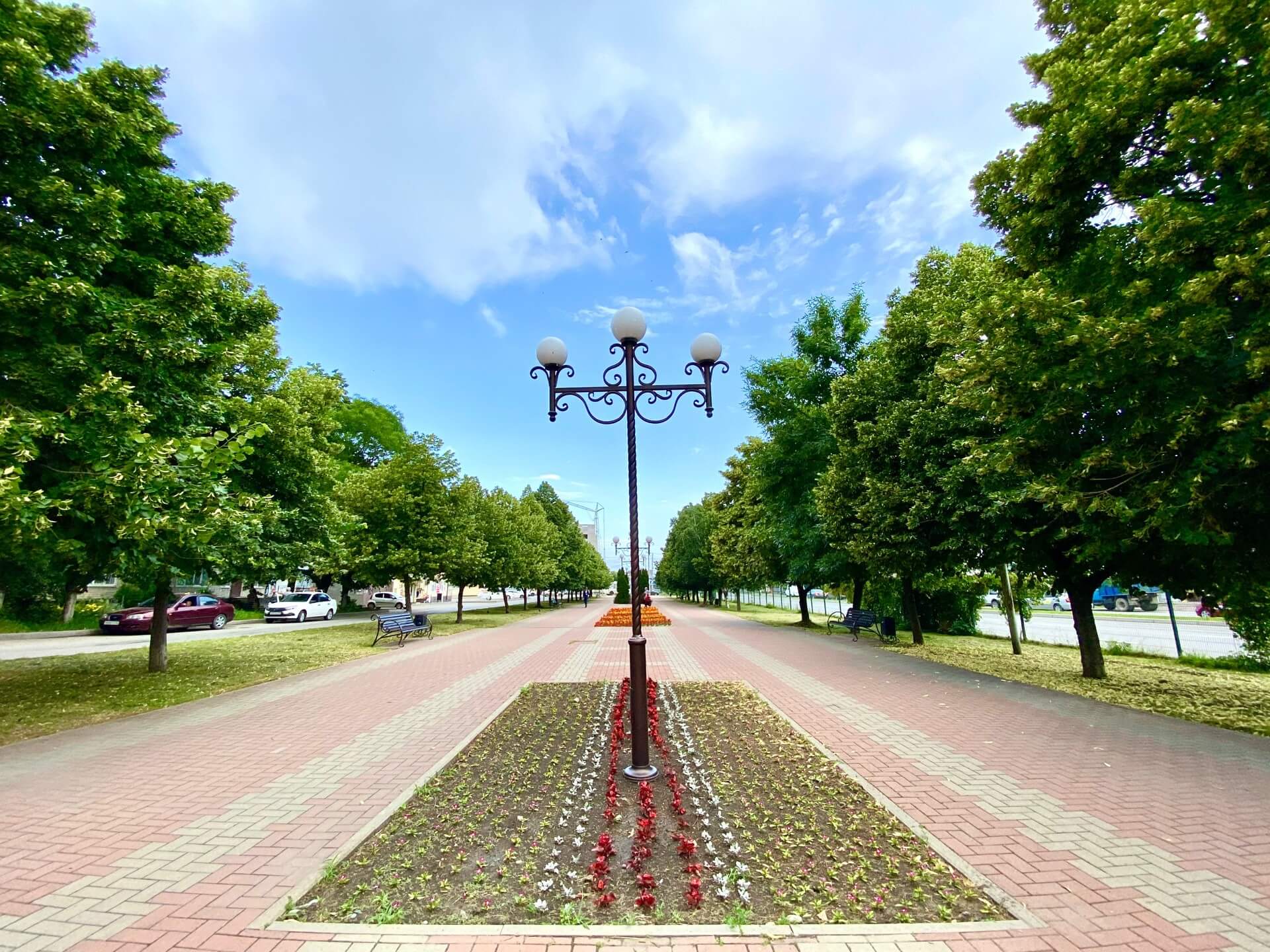 Более 600. Цветы по городу Черкесск. Г Черкесск фотообои на улицу. Обои в городе Черкесске. Красногорск Черкесске.