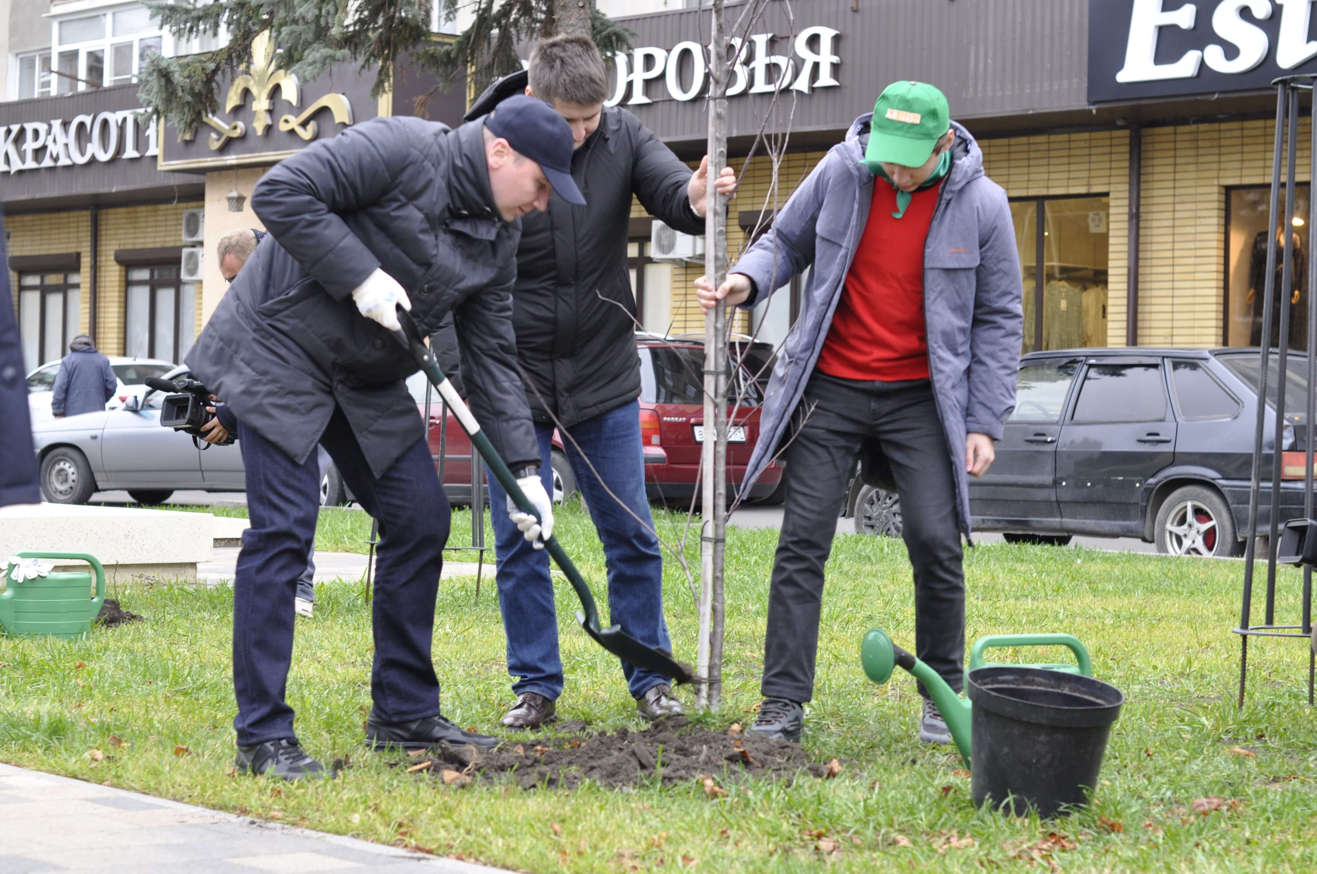 Алексей Баскаев: Более 60 молодых деревьев украсили общественные территории города
